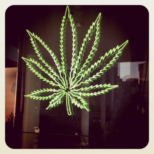 lisc-marihuany-neon