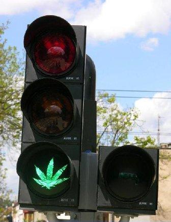 marihuana-zielone-swiatlo-ma-w-polsce