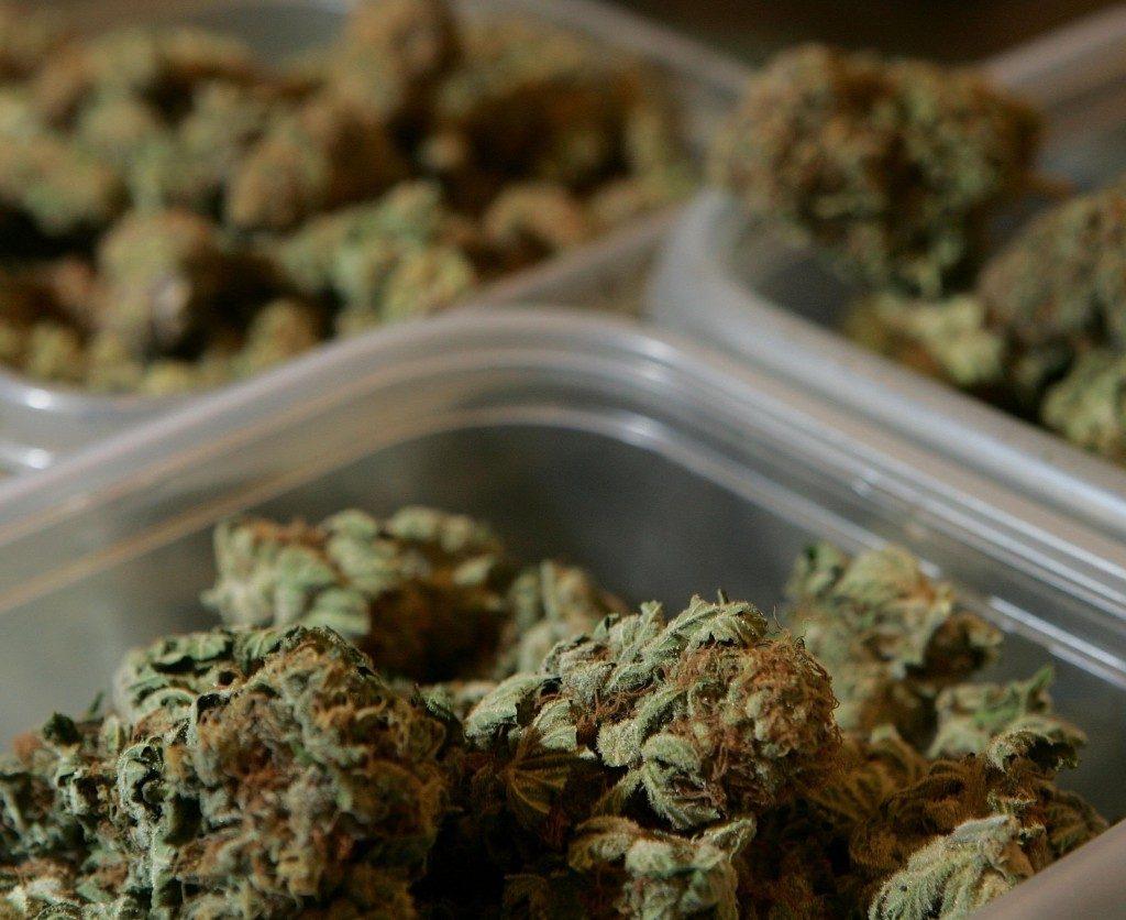 marihuana-w-pudelku-to-medyczna-marihuana-legalizacja