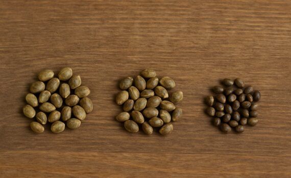 Minizowane nasiona automatyczne nasiona